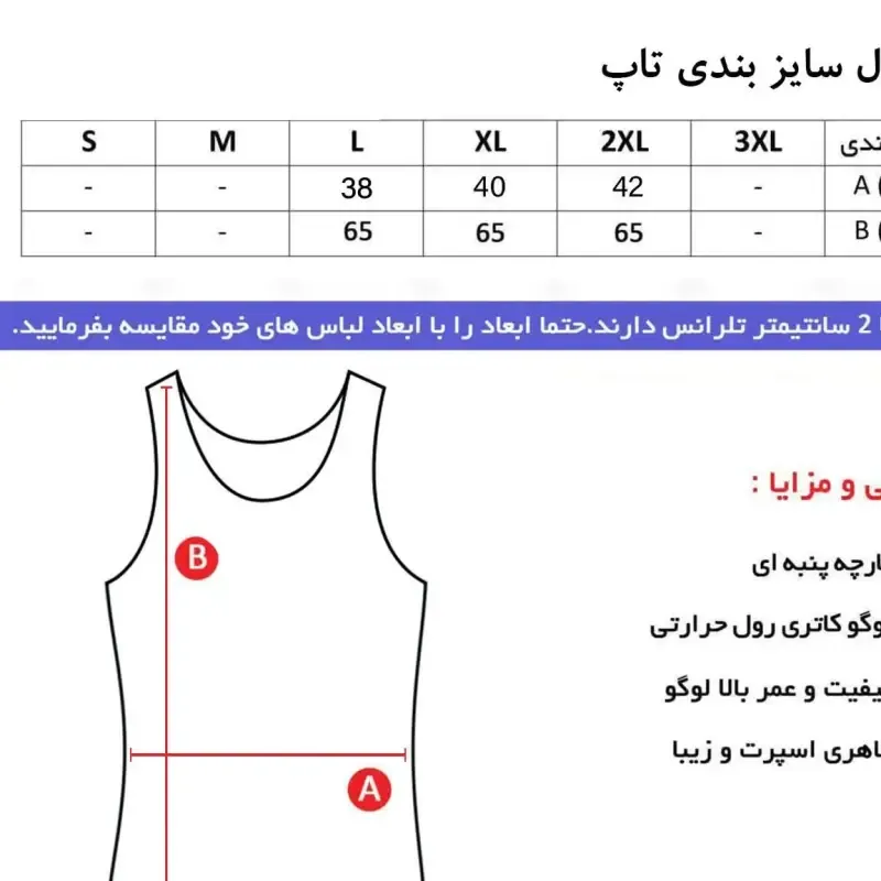 تاپ ورزشی زنانه فلامنت کش طرح Jordan مدل X866R رنگ کله غازی سایز L XL 2XL
